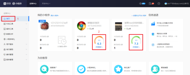 支付宝小程序 质量洞察